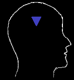 Il Sesto Chakra